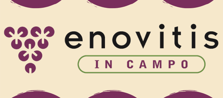 ENOVITIS Fiera Milano Rho dal 19 Novembre